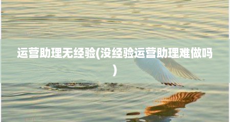 运营助理无经验(没经验运营助理难做吗)
