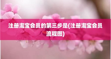 注册淘宝会员的第三步是(注册淘宝会员流程图)
