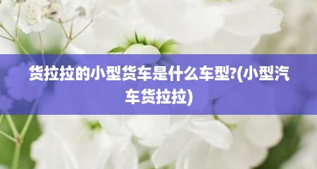 货拉拉的小型货车是什么车型?(小型汽车货拉拉)