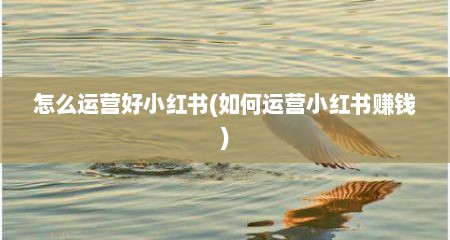 怎么运营好小红书(如何运营小红书赚钱)