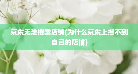 京东无法搜索店铺(为什么京东上搜不到自己的店铺)
