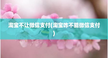 淘宝不让微信支付(淘宝咋不能微信支付)