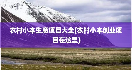 农村小本生意项目大全(农村小本创业项目在这里)