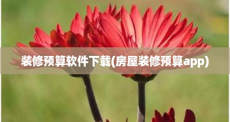 装修预算软件下载(房屋装修预算app)