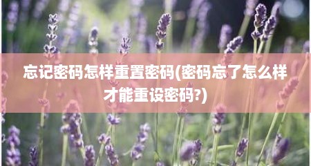 忘记密码怎样重置密码(密码忘了怎么样才能重设密码?)