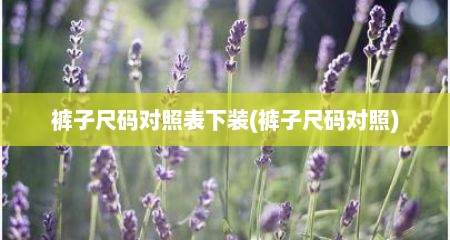 裤子尺码对照表下装(裤子尺码对照)