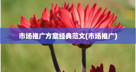 市场推广方案经典范文(市场推广)