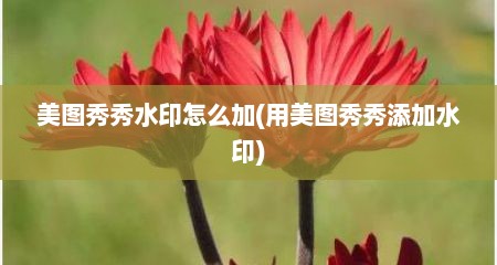 美图秀秀水印怎么加(用美图秀秀添加水印)