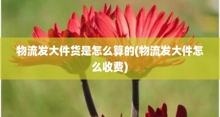 物流发大件货是怎么算的(物流发大件怎么收费)