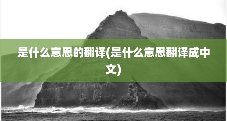 是什么意思的翻译(是什么意思翻译成中文)
