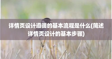 详情页设计遵循的基本流程是什么(简述详情页设计的基本步骤)