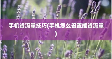 手机省流量技巧(手机怎么设置能省流量)
