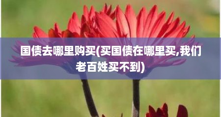 国债去哪里购买(买国债在哪里买,我们老百姓买不到)