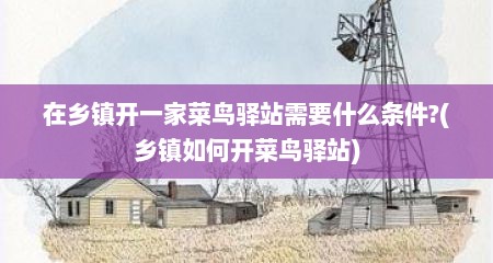 在乡镇开一家菜鸟驿站需要什么条件?(乡镇如何开菜鸟驿站)