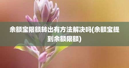 余额宝限额转出有方法解决吗(余额宝提到余额限额)