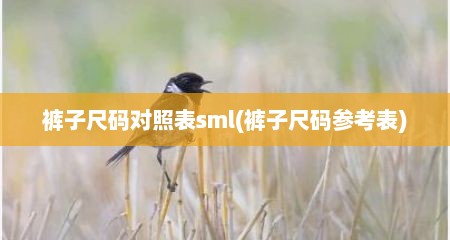裤子尺码对照表sml(裤子尺码参考表)