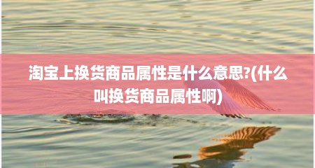 淘宝上换货商品属性是什么意思?(什么叫换货商品属性啊)