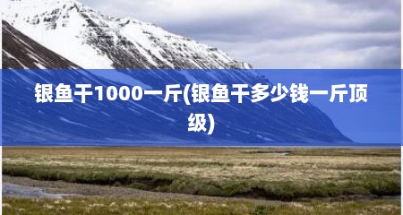 银鱼干1000一斤(银鱼干多少钱一斤顶级)