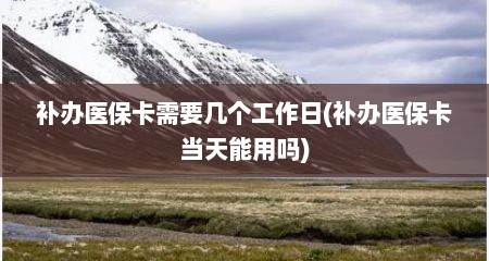 补办医保卡需要几个工作日(补办医保卡当天能用吗)