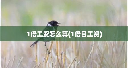 1倍工资怎么算(1倍日工资)