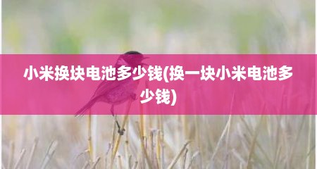 小米换块电池多少钱(换一块小米电池多少钱)