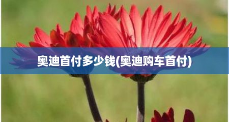 奥迪首付多少钱(奥迪购车首付)