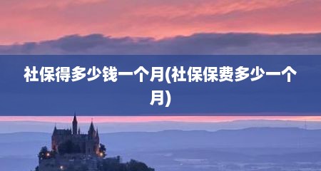 社保得多少钱一个月(社保保费多少一个月)