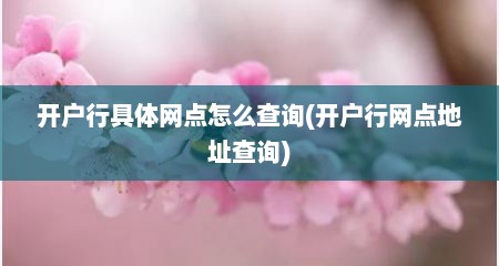 开户行具体网点怎么查询(开户行网点地址查询)