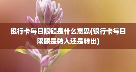 银行卡每日限额是什么意思(银行卡每日限额是转入还是转出)