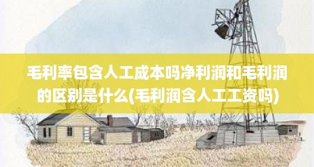 毛利率包含人工成本吗净利润和毛利润的区别是什么(毛利润含人工工资吗)
