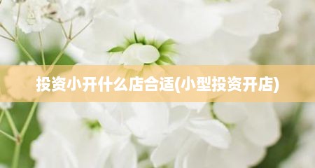 投资小开什么店合适(小型投资开店)