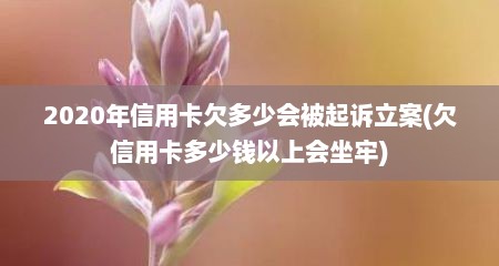 2020年信用卡欠多少会被起诉立案(欠信用卡多少钱以上会坐牢)