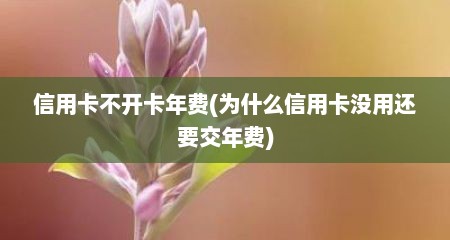 信用卡不开卡年费(为什么信用卡没用还要交年费)