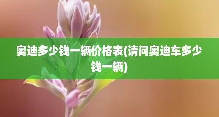 奥迪多少钱一辆价格表(请问奥迪车多少钱一辆)