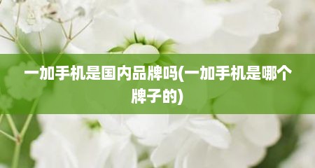 一加手机是国内品牌吗(一加手机是哪个牌子的)