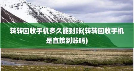 转转回收手机多久能到账(转转回收手机是直接到账吗)