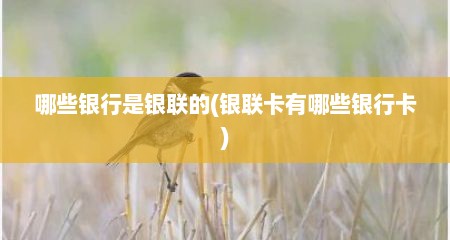哪些银行是银联的(银联卡有哪些银行卡)