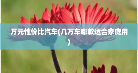 万元性价比汽车(几万车哪款适合家庭用)