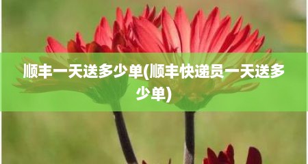 顺丰一天送多少单(顺丰快递员一天送多少单)