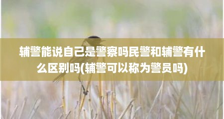 辅警能说自己是警察吗民警和辅警有什么区别吗(辅警可以称为警员吗)
