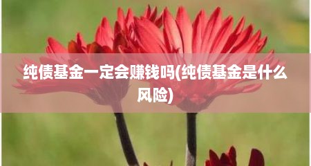 纯债基金一定会赚钱吗(纯债基金是什么风险)