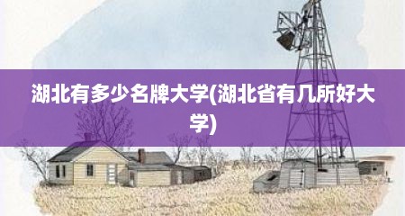 湖北有多少名牌大学(湖北省有几所好大学)