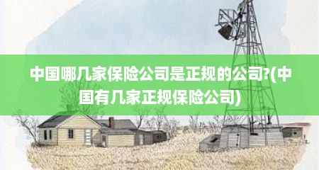 中国哪几家保险公司是正规的公司?(中国有几家正规保险公司)