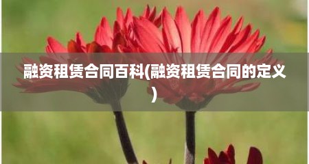 融资租赁合同百科(融资租赁合同的定义)