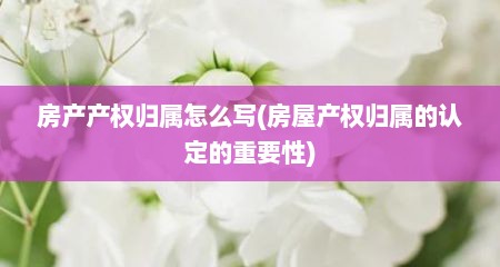 房产产权归属怎么写(房屋产权归属的认定的重要性)