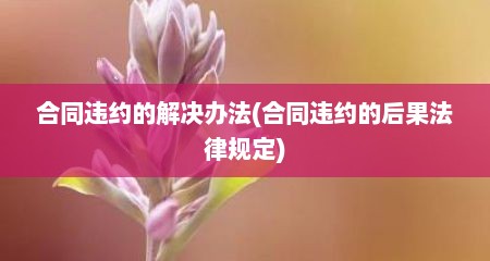 合同违约的解决办法(合同违约的后果法律规定)