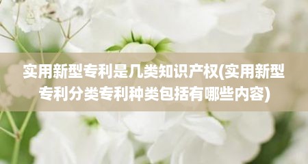 实用新型专利是几类知识产权(实用新型专利分类专利种类包括有哪些内容)