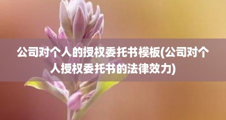 公司对个人的授权委托书模板(公司对个人授权委托书的法律效力)