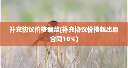 补充协议价格调整(补充协议价格超出原合同10%)