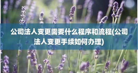 公司法人变更需要什么程序和流程(公司法人变更手续如何办理)